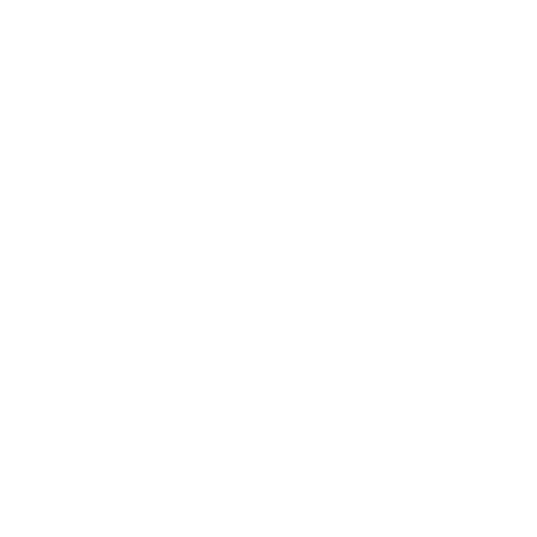 White four-point sparkle star graphic.