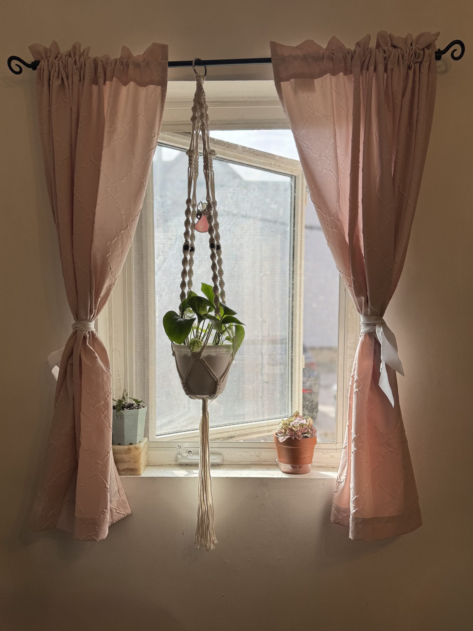 Cozy pink window with plants in soft sunlight, capturing the calm, gentle pace of slow growth in creativity