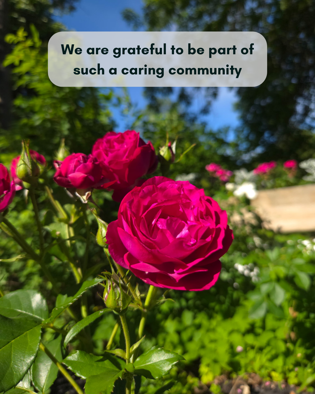 Lakeshore West Garden Tour Thank you 3